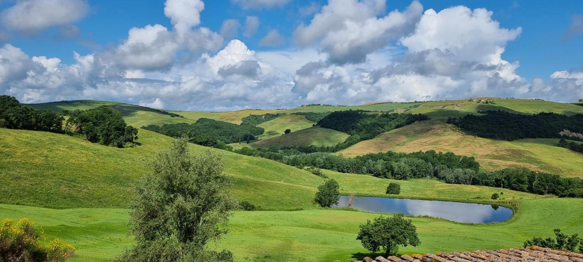 Agriturismo S. Eurosia Montalcino Zewnętrze zdjęcie